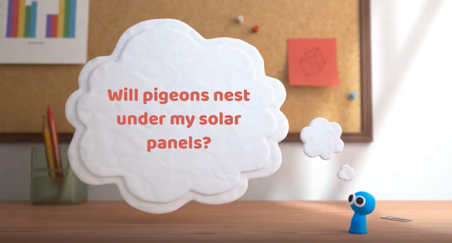 Will pigeons nest under my solar panels?